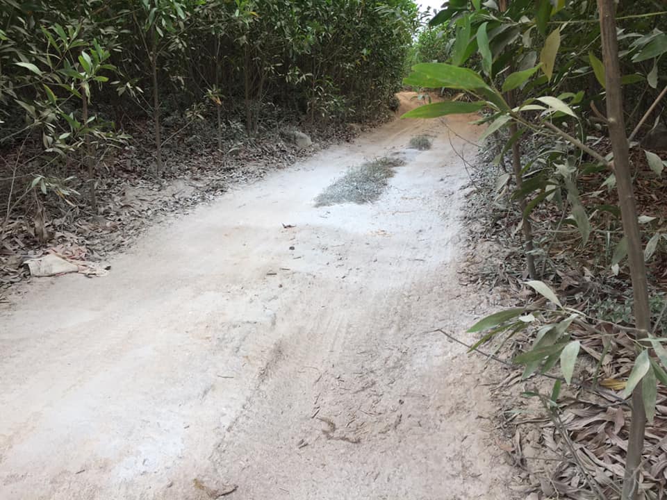 phun vôi phòng dịch